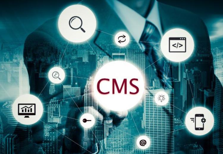 CMS-Based-Website-Development